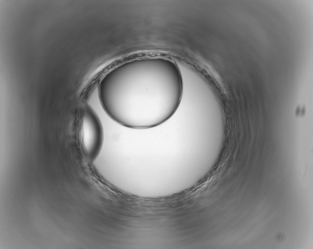 X0000091851352200709050927