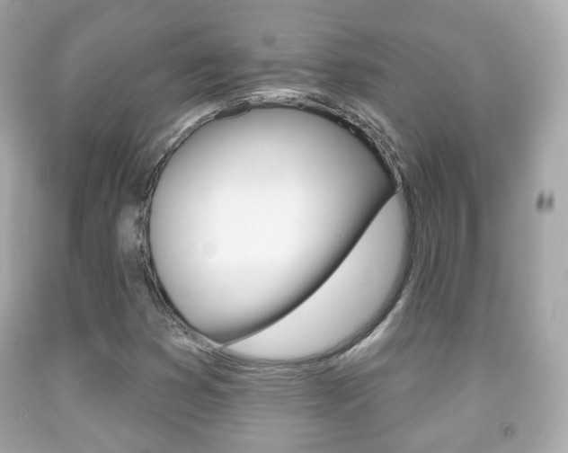 X0000091851353200709050927