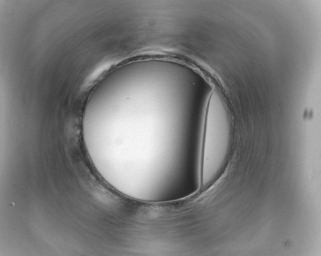 X0000091851355200709050927