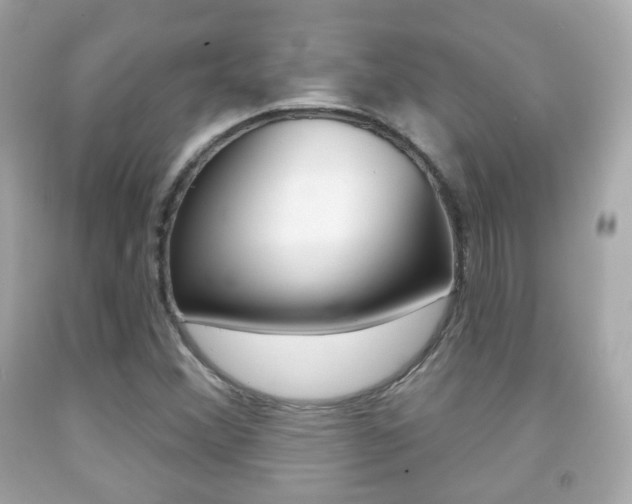 X0000091851356200709050927