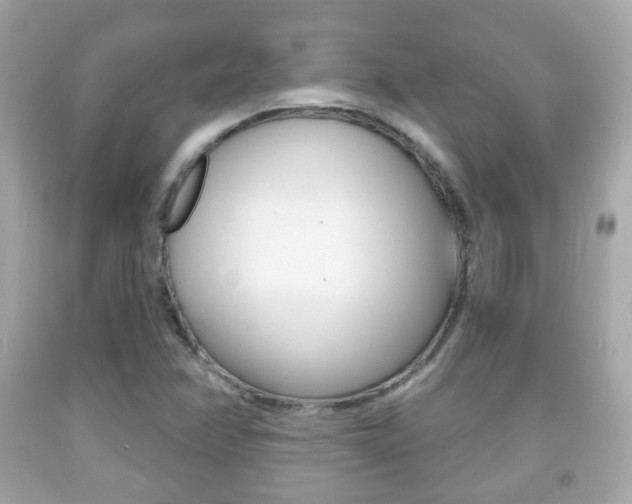 X0000091851358200709050927