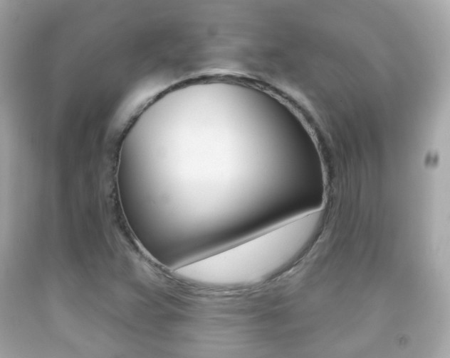 X0000091851359200709050927