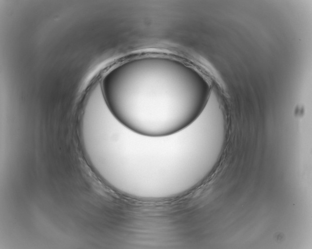 X0000091851360200709050927