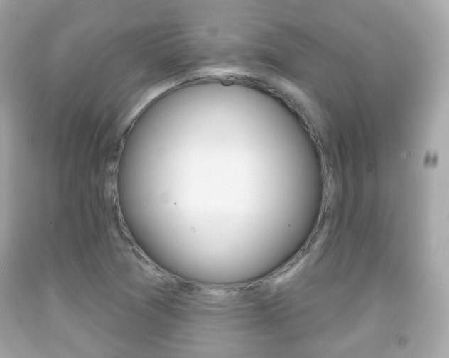X0000091851361200709050927