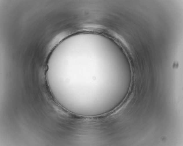 X0000091851362200709050927