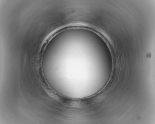 X0000091851364200709050927