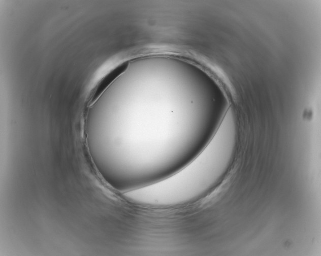 X0000091851365200709050927