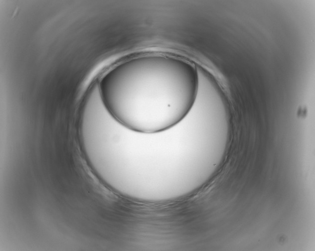 X0000091851368200709050927