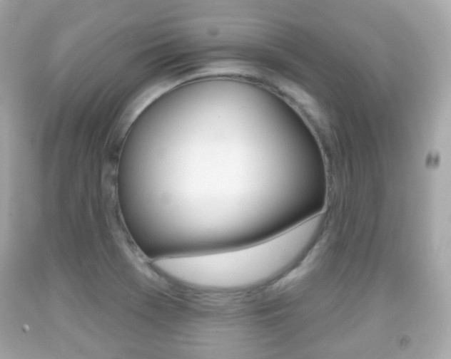 X0000091851369200709050927