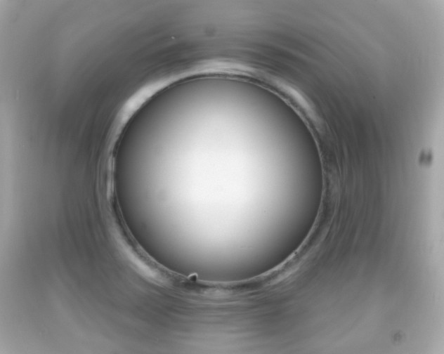 X0000091851371200709050927