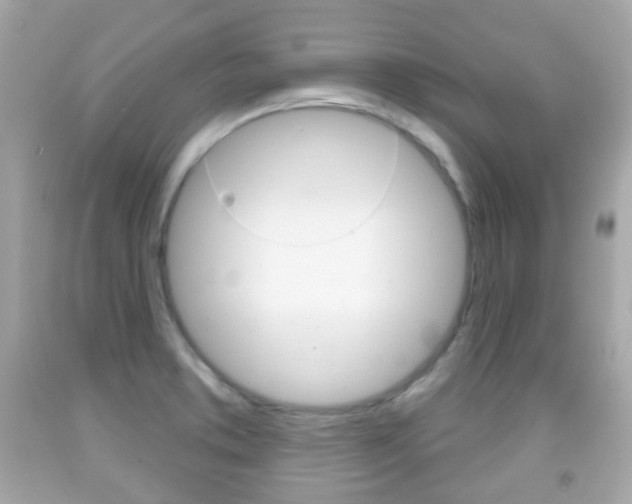 X0000091851373200709050927
