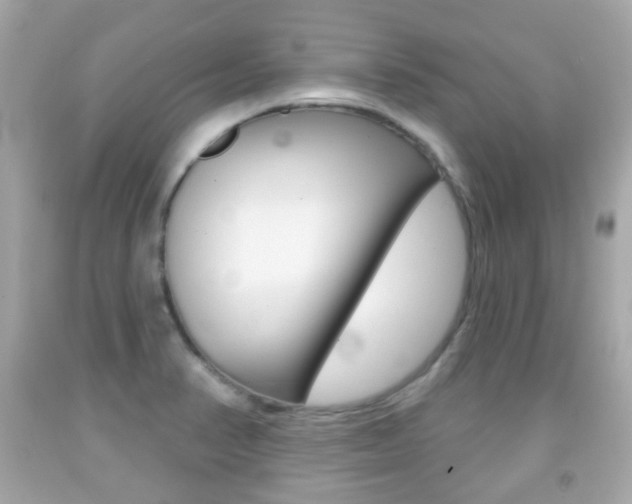 X0000091851374200709050927