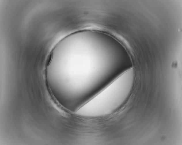 X0000091851375200709050927