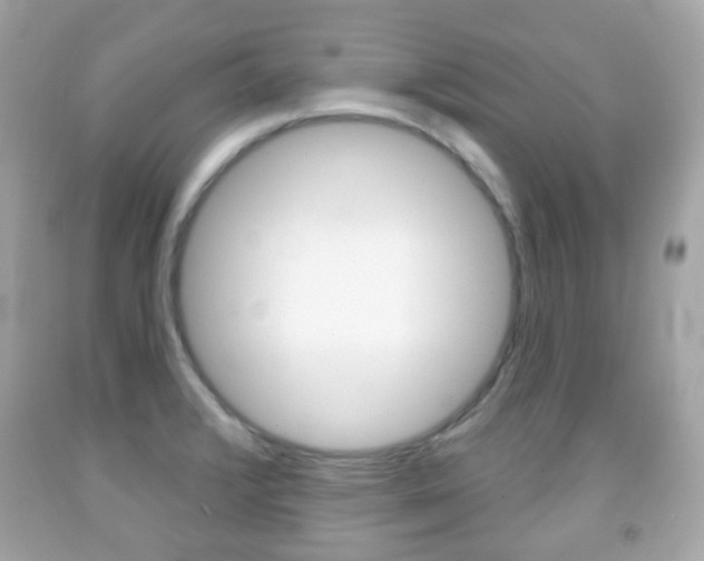 X0000091851376200709050926