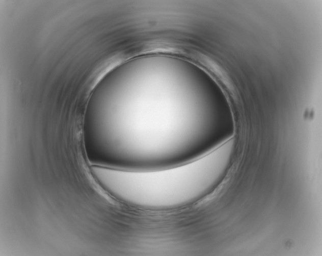 X0000091851377200709050926