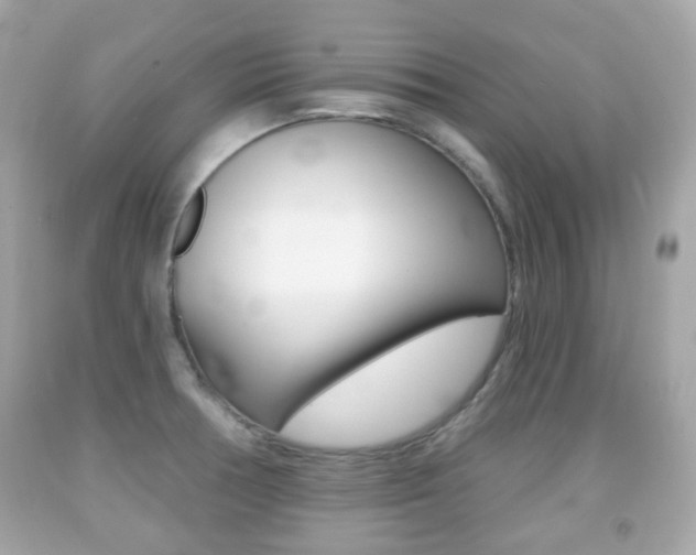 X0000091851378200709050926
