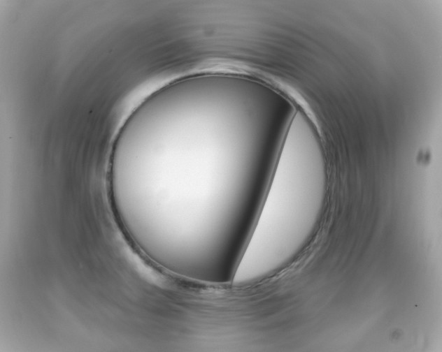 X0000091851379200709050926