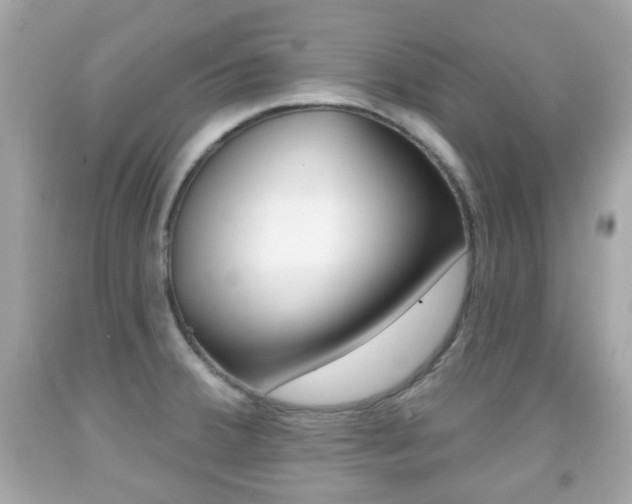 X0000091851380200709050926
