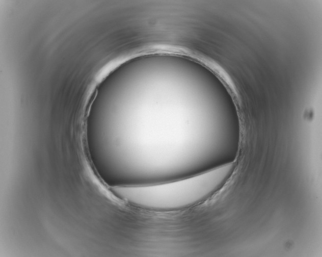 X0000091851381200709050926