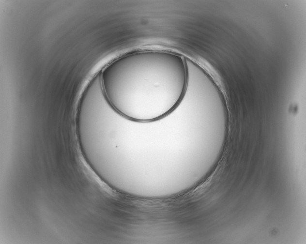 X0000091851384200709050926