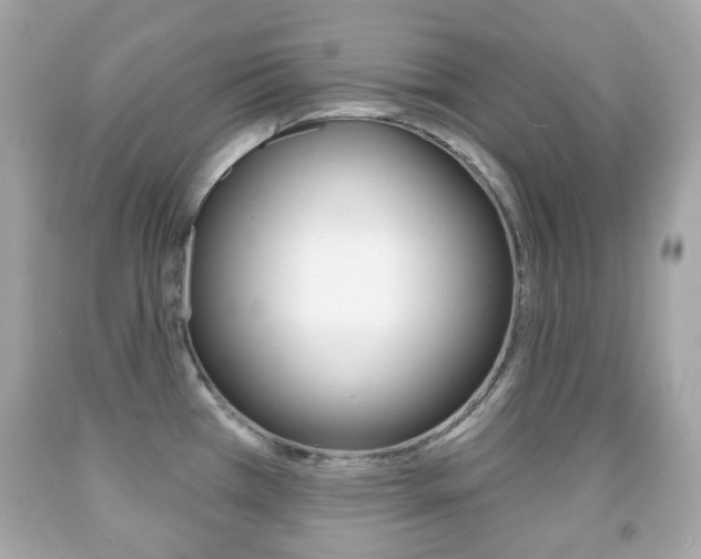 X0000091851385200709050926