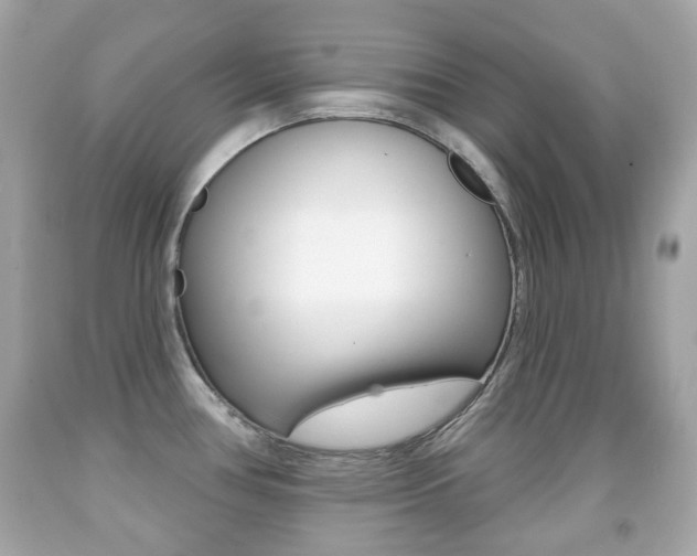 X0000091851386200709050926