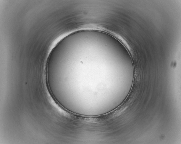 X0000091851387200709050926