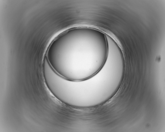 X0000091851388200709050926