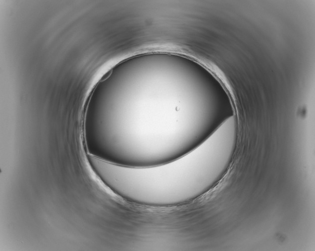X0000091851389200709050926