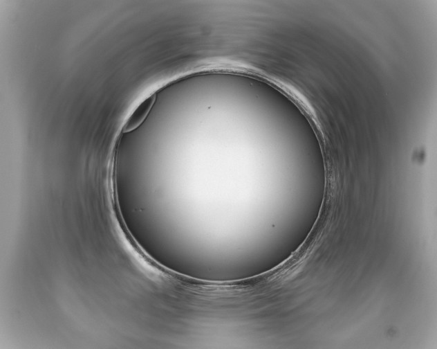 X0000091851391200709050926