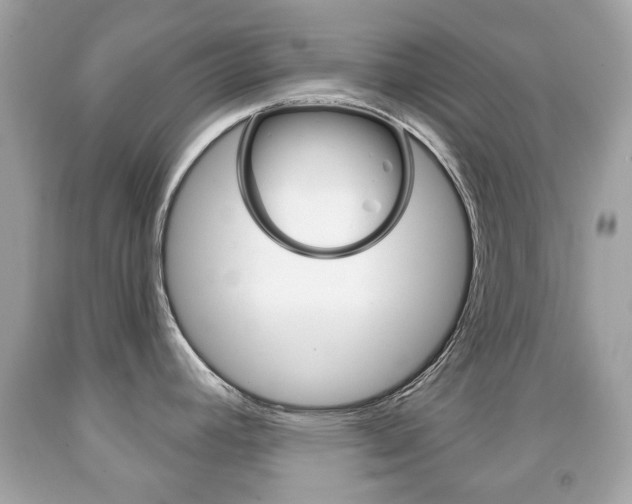 X0000091851392200709050926