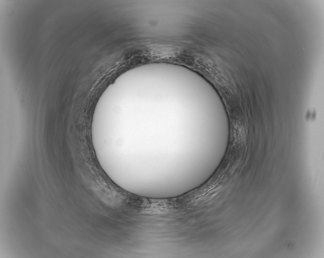 X0000091851393200709050926
