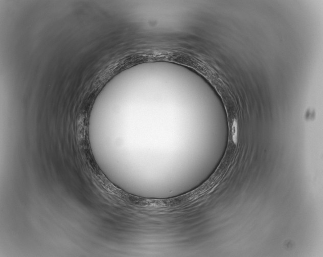 X0000091851395200709050926