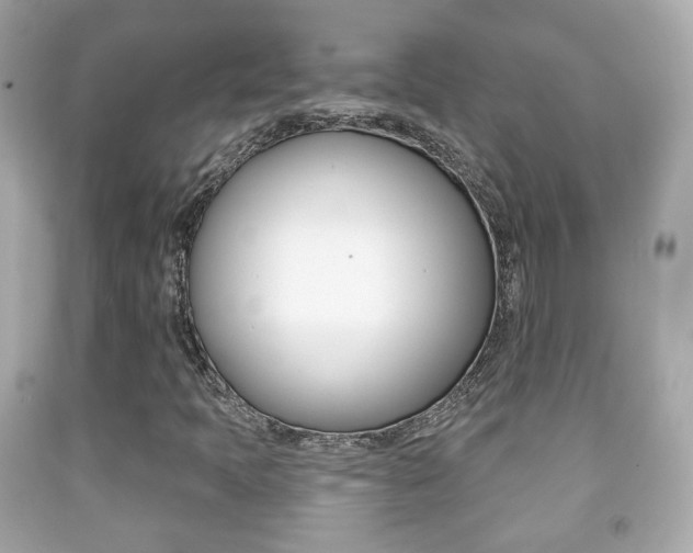 X0000091851397200709050926