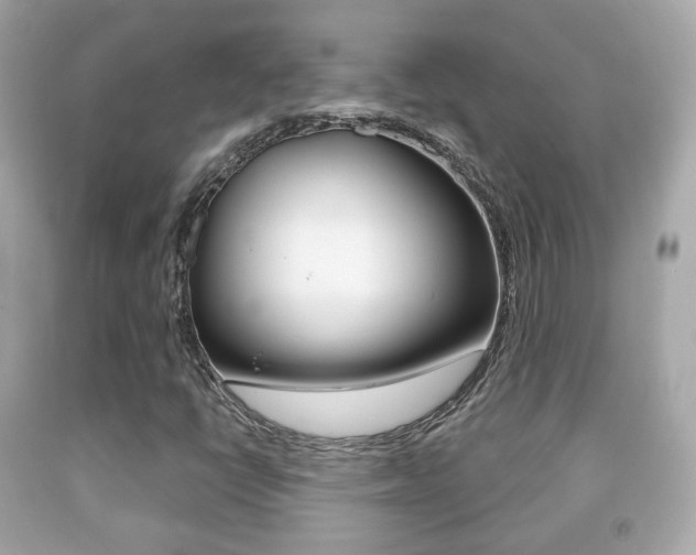 X0000091851398200709050926