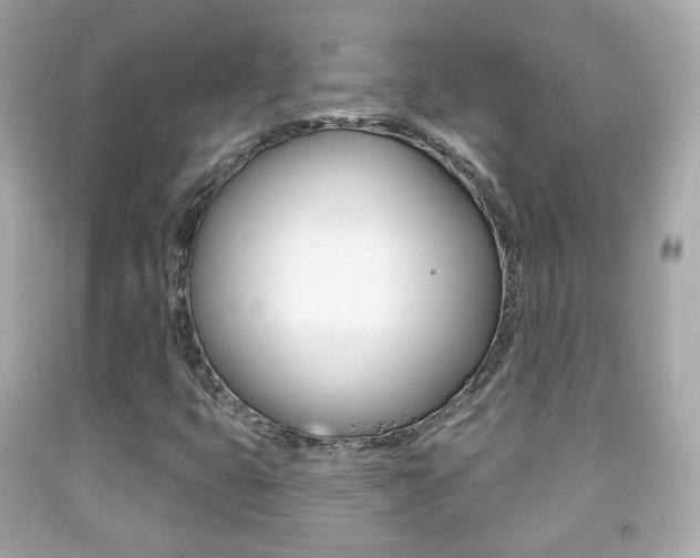 X0000091851399200709050926