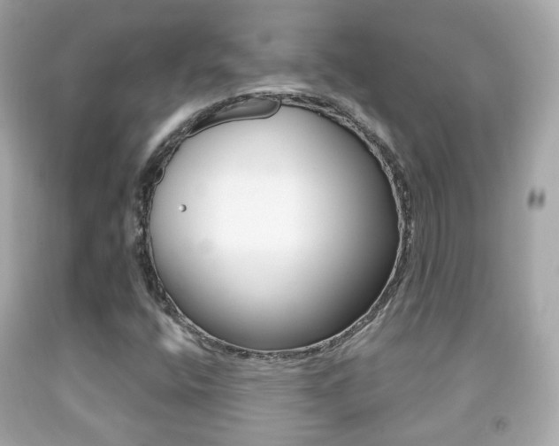 X0000091851400200709050926