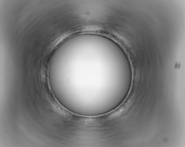 X0000091851401200709050926