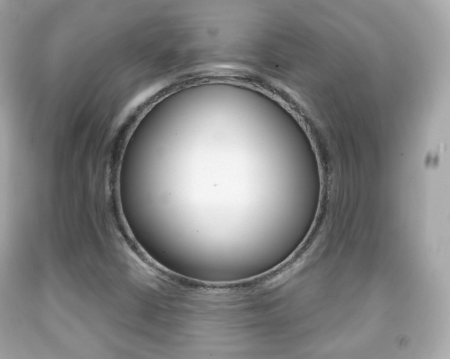 X0000091851402200709050926