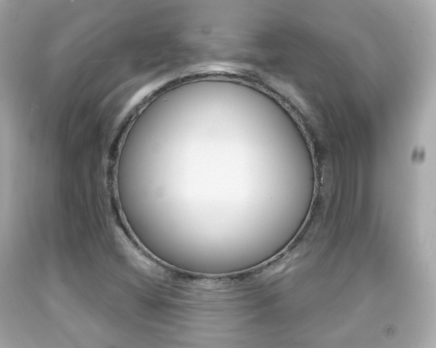 X0000091851404200709050926