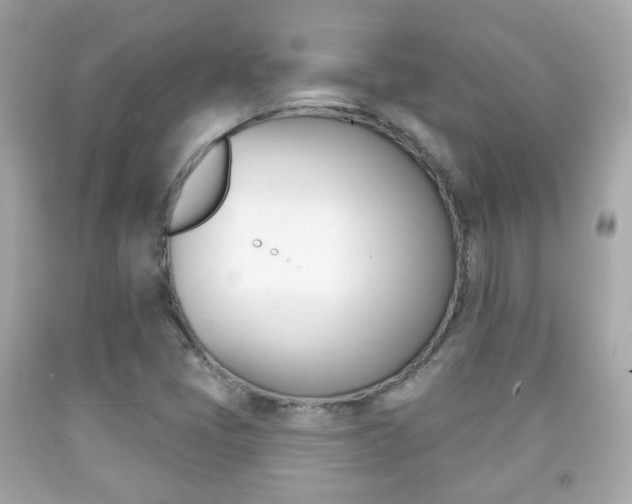 X0000091851405200709050926