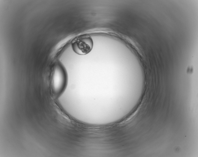 X0000091851406200709050926