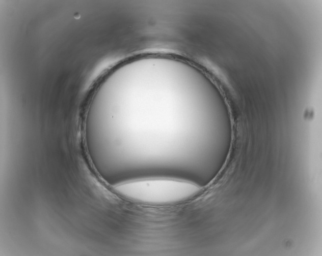 X0000091851408200709050926