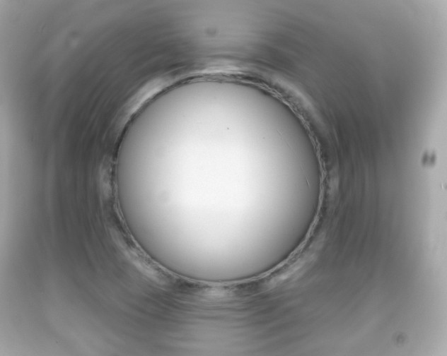 X0000091851409200709050926