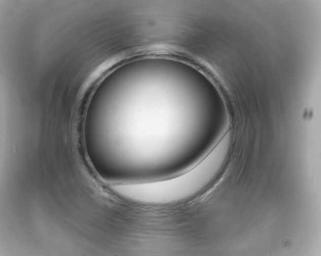 X0000091851410200709050926