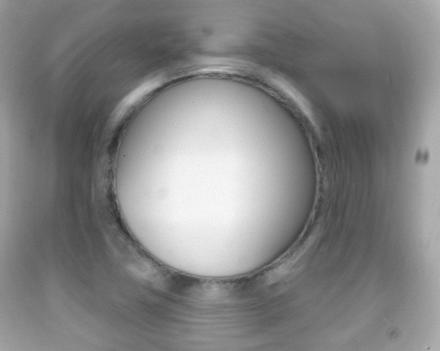 X0000091851411200709050926