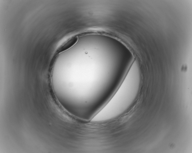 X0000091851412200709050926