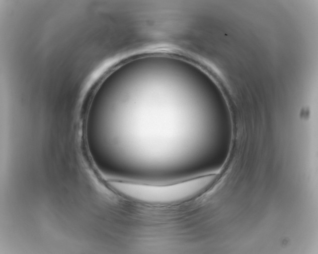 X0000091851414200709050926
