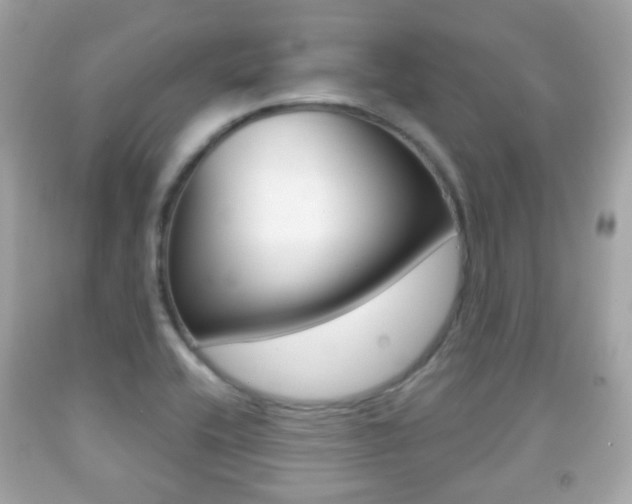 X0000091851416200709050926