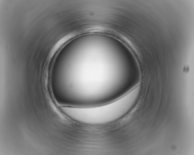 X0000091851418200709050926